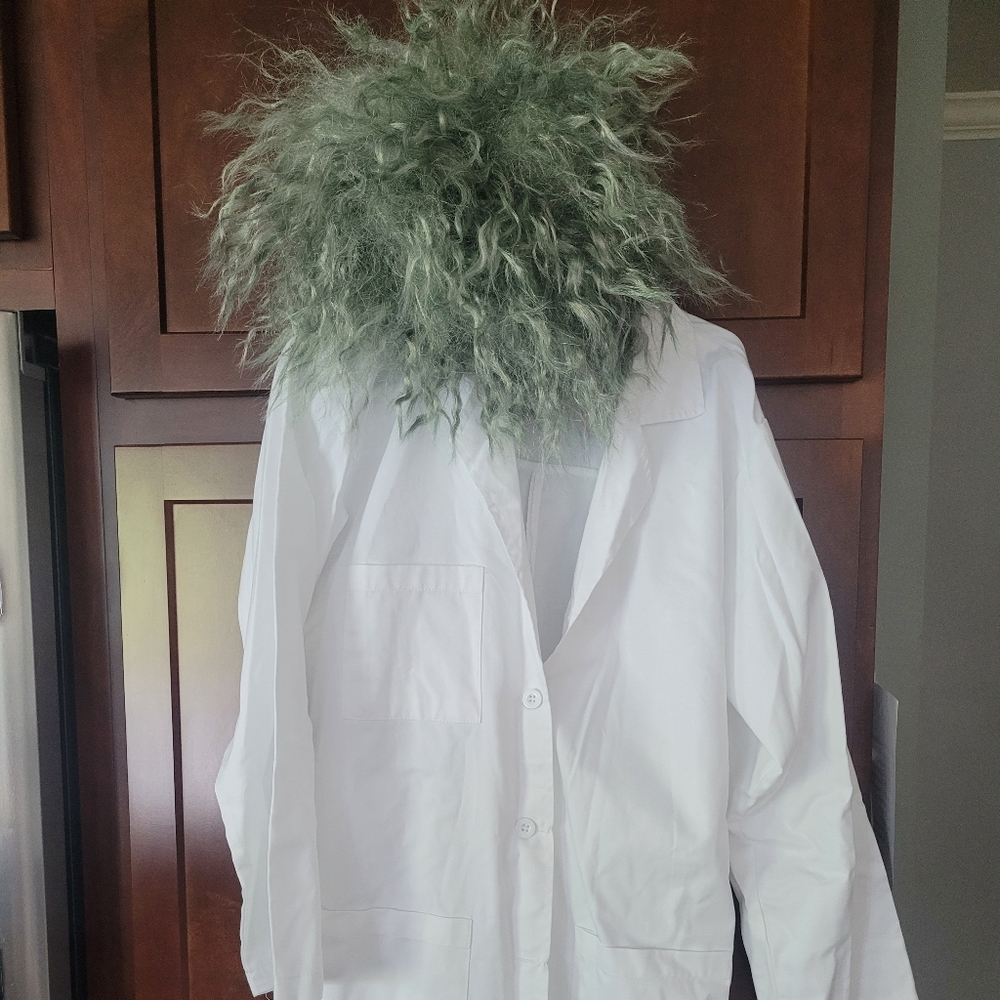 Mad Scientist Costume